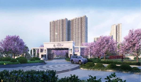  Prestige Lavender Fields